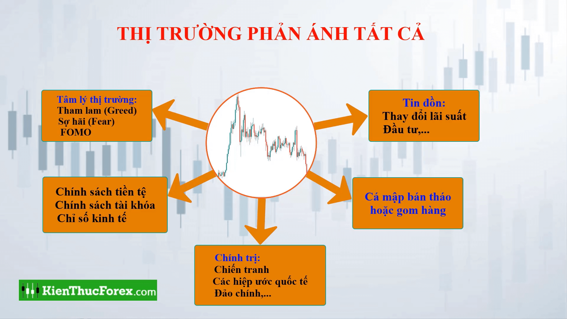 Thị trường phản ánh tất cả