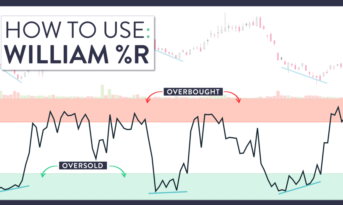 Cách sử dụng chỉ báo Williams% R năm 2022